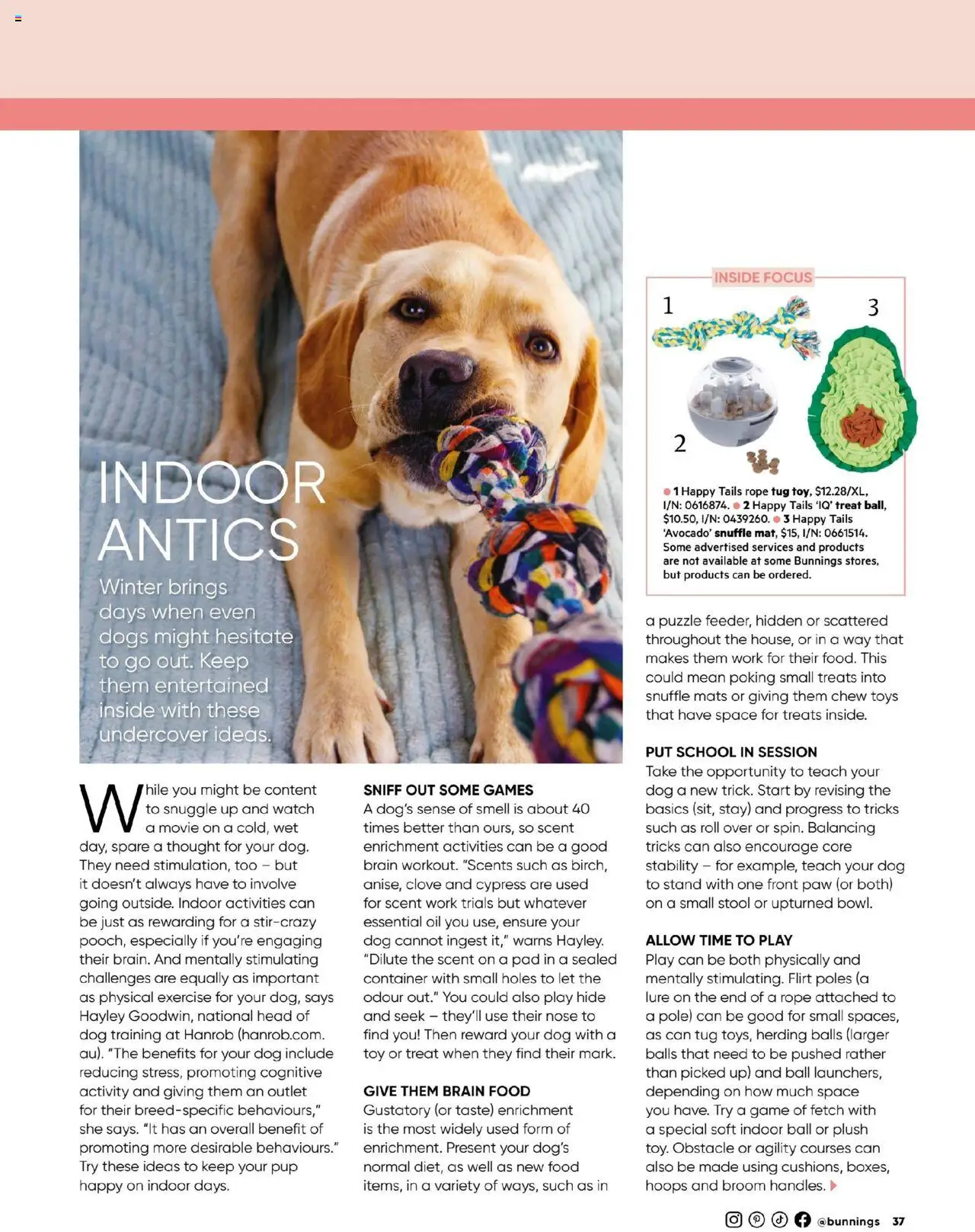 Bunnings Warehouse catalogue - valid from 01.07.2025 | Page: 37 | Products: Stool, Oil, Game, Broom