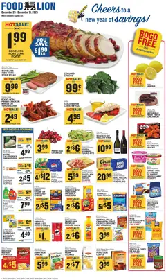 Preview of Food Lion weekly ads valid from 26.12.2025