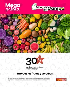 Surtimax - Catálogo Martes -  Vista previa de la revista de la tienda Surtimax valido desde el 08.07.2025
