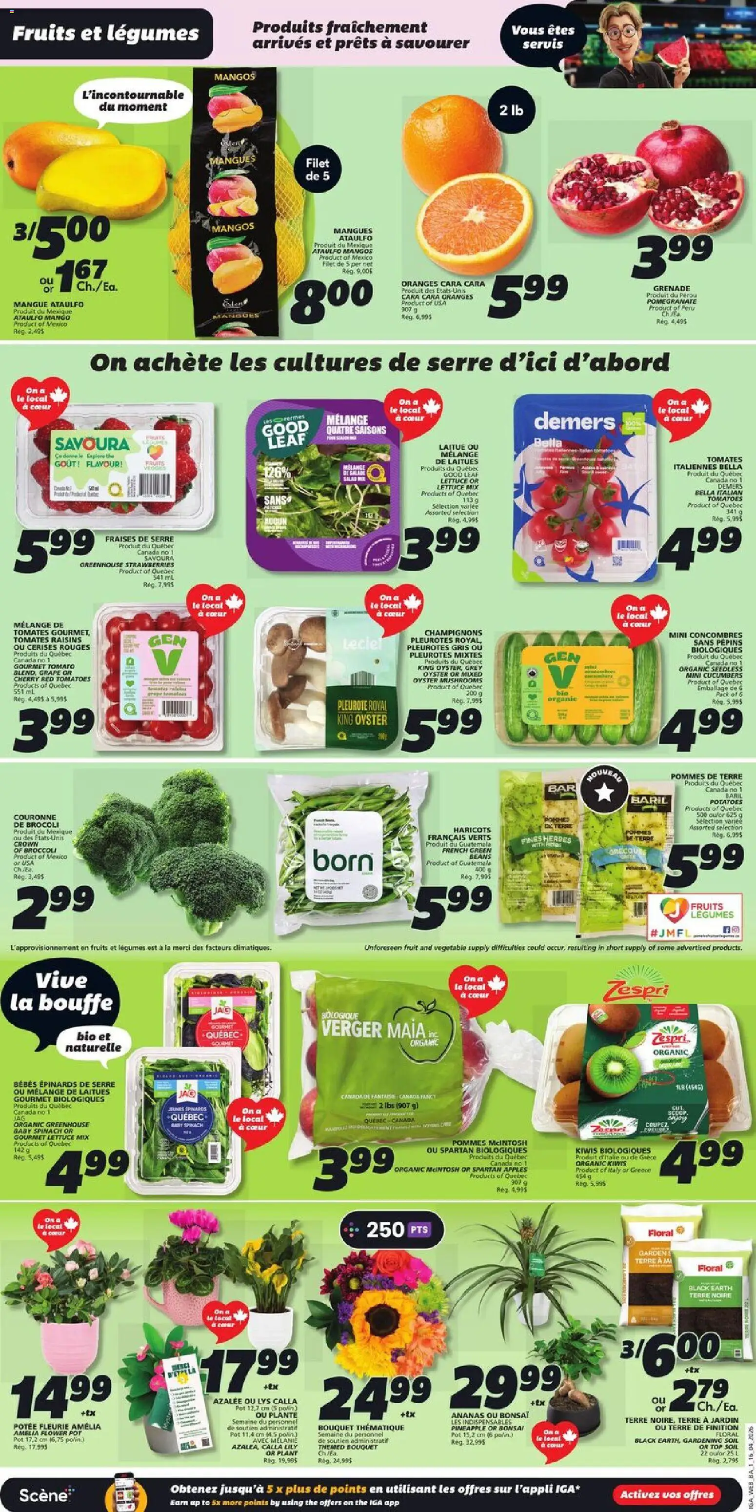 IGA flyer valid from 16.04.2026 | Page: 3 | Products: Pineapple, Strawberries, Potatoes, Oranges