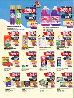 Vista previa Maxiconsumo ofertas válido desde el 19.01.2026 | Página: 24 | Productos: Rejilla, Esponja, Pala, Limpiador