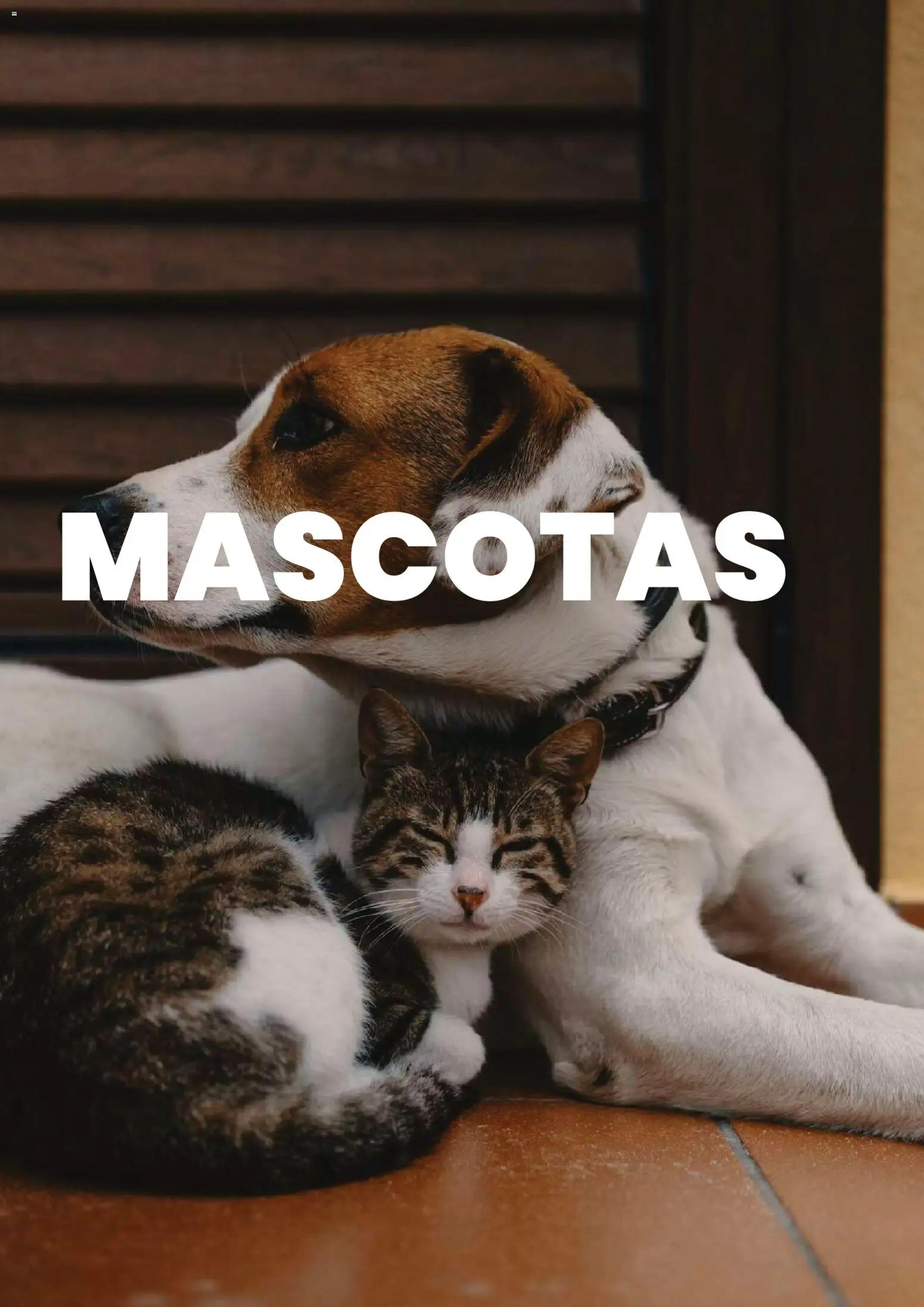 Letak Cugat │ válido desde el 09.02.2026 | Página: 42