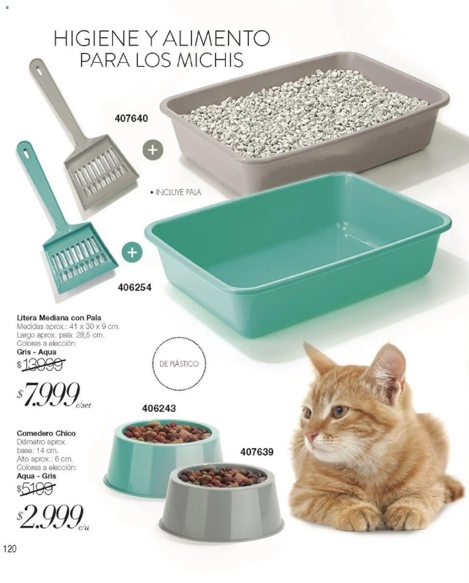 Violetta catálogo │ válido desde el 01.01.2026 | Página: 120 | Productos: Pala