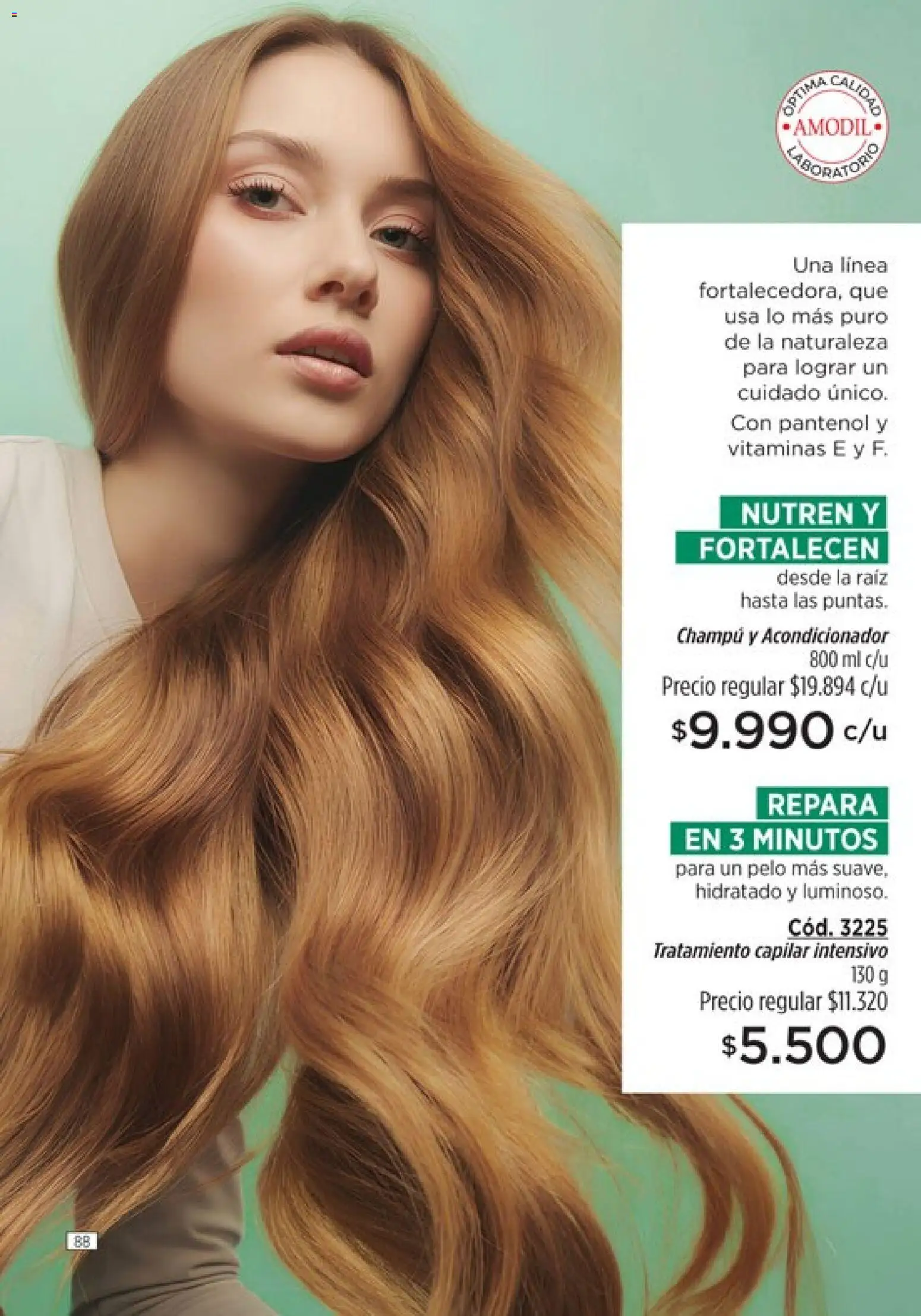 Catálogo Amodil Campaña 6 │ válido desde el 04.03.2026 | Página: 88 | Productos: Vitaminas, Champú, Acondicionador