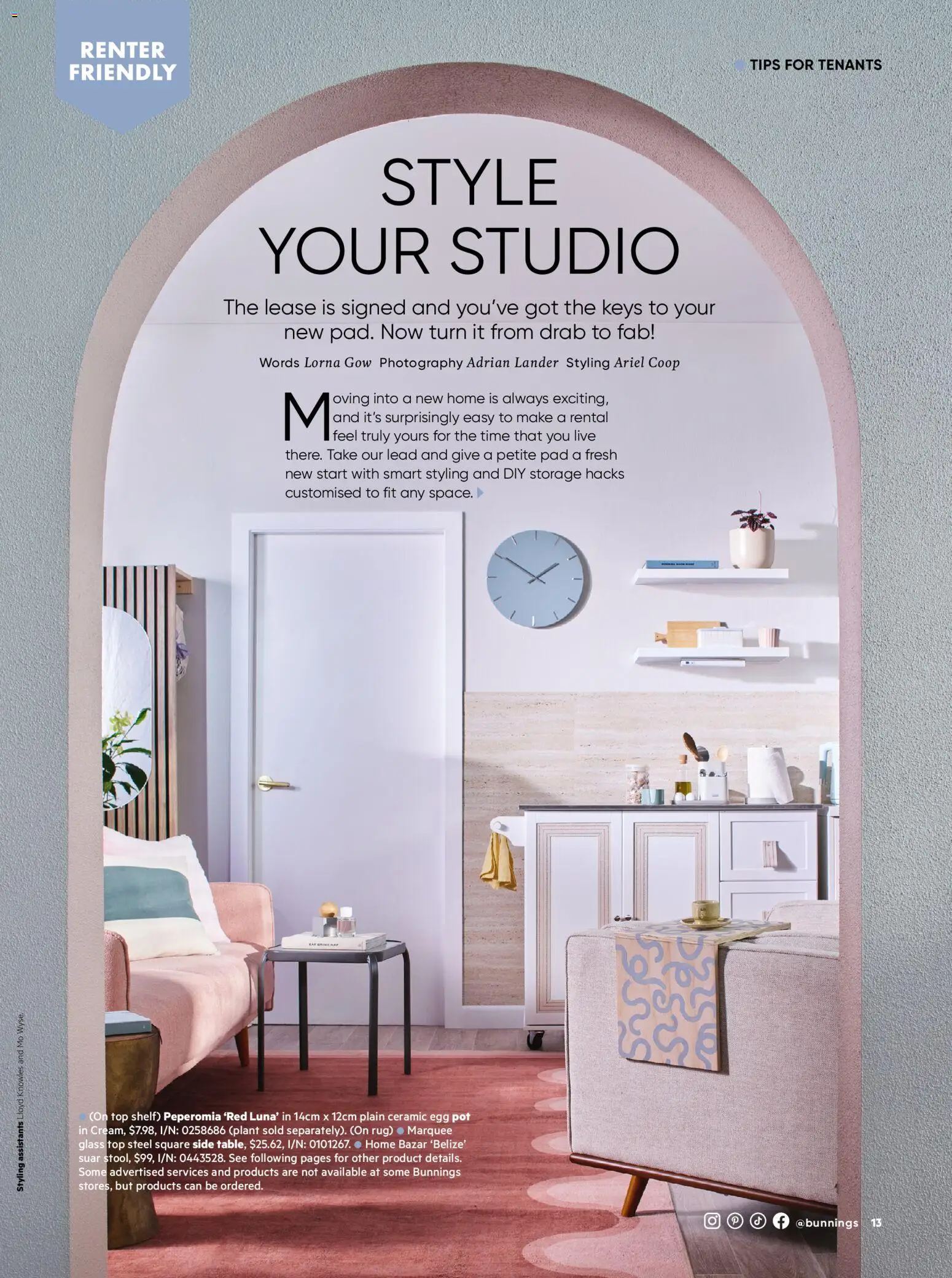 Bunnings Warehouse catalogue - valid from 01.02.2026 | Page: 13 | Products: Shelf, Pot, Plant