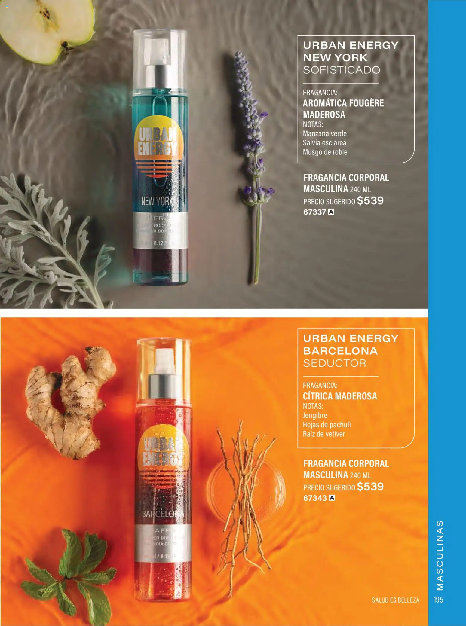 Nuevas ofertas de JAFRA válidas en toda la República Mexicana desde el 01.02.2026. ¡Encuentra las mejores ofertas en JAFRA catálogo Organizador de Ventas! | Página: 193