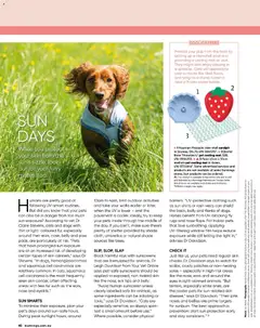 Preview of Catalogue Bunnings Warehouse November  - valid from 01.11.2025 | Page: 82