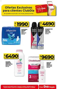 Vista previa Supermercado DIA Ofertas válido desde el 29.10.2025 | Página: 52 | Productos: Toallitas femeninas, Crema