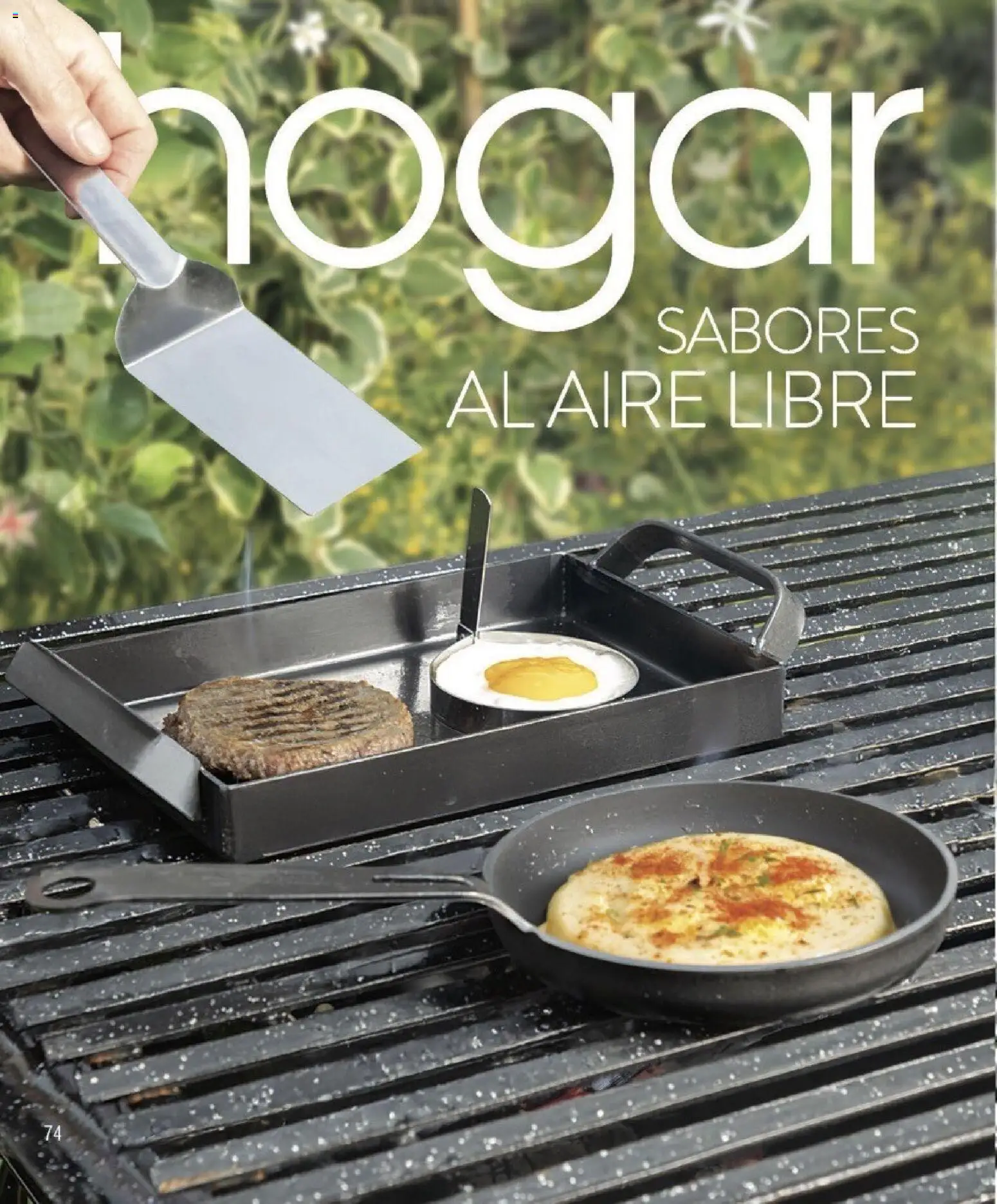 Violetta catálogo │ válido desde el 01.01.2026 | Página: 74