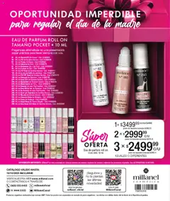Vista previa Millanel catálogo válido desde el 15.09.2025 | Página: 196 | Productos: Jean, Té