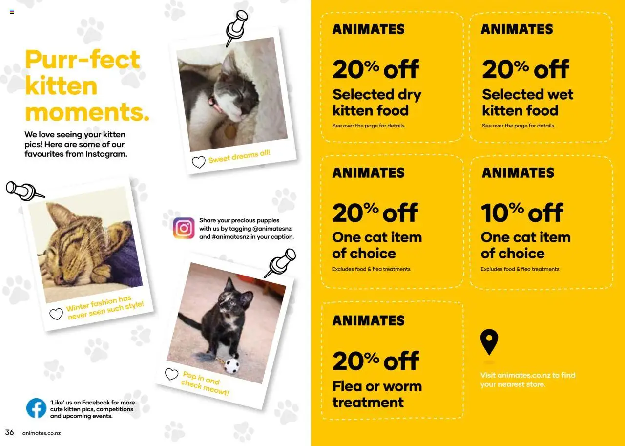 Animates catalogue from 01.01.2024 | Page: 19