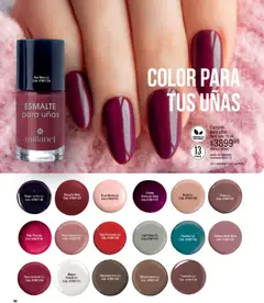 Vista previa Millanel - Catálogo válido desde el 08.12.2025 | Página: 98 | Productos: Mate, Petróleo, Chocolate