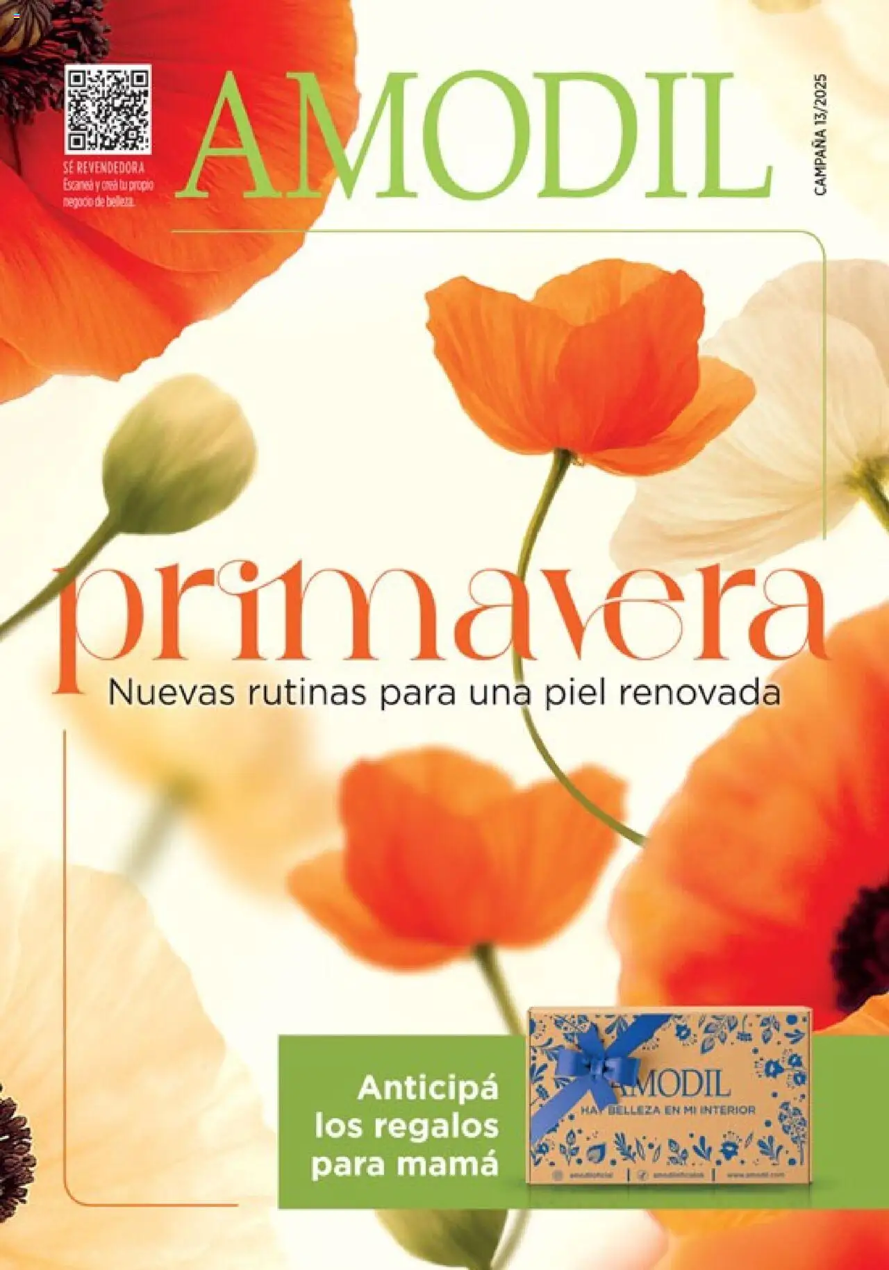 Catálogo Amodil Campaña 13 │ válido desde el 18.07.2025 | Página: 1 | Productos: Campana