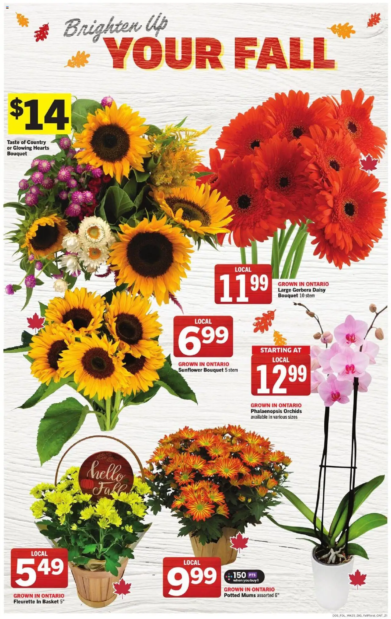 Foodland flyer valid from 02.10.2025 | Page: 6 | Products: Basket