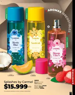 Pacifika - Campaña 17 / 2025 -  Vista previa de la revista de la tienda Pacifika valido desde el 25.09.2025 | Página: 201 | Productos: Body, Melón, Coco, Pera