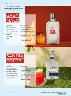 Nuevas ofertas de Bodegas Alianza válidas en toda la República Mexicana desde el 01.07.2025. ¡Encuentra las mejores ofertas en Bodegas Alianza catálogo Cava Morada! | Página: 42 | Productos: Sandía, Limón, Jugo, Tequila