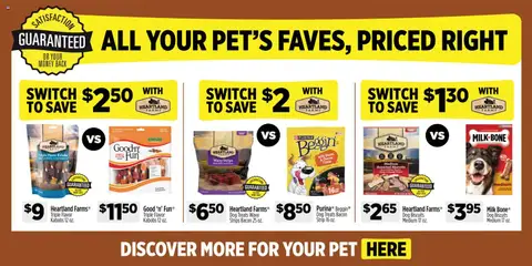 Preview of Dollar General weekly ads valid from 01.03.2026 | Page: 9 | Products: Dog Treats, Milk, Cheese, Switch