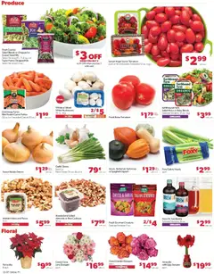 Preview of Family Fare weekly ads valid from 07.12.2025 | Page: 10 | Products: Mushrooms, Kale, Tomatoes, Salad