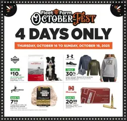 Preview of Mills Fleet Farm weekly ads valid from 16.10.2025