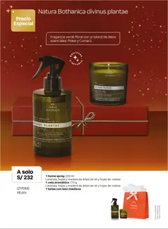 Vista previa de folleto Natura - Ciclo 17 de la Natura válido desde 03.10.2025 | Página: 49 | Productos: Té, Bolsa, Fragancia