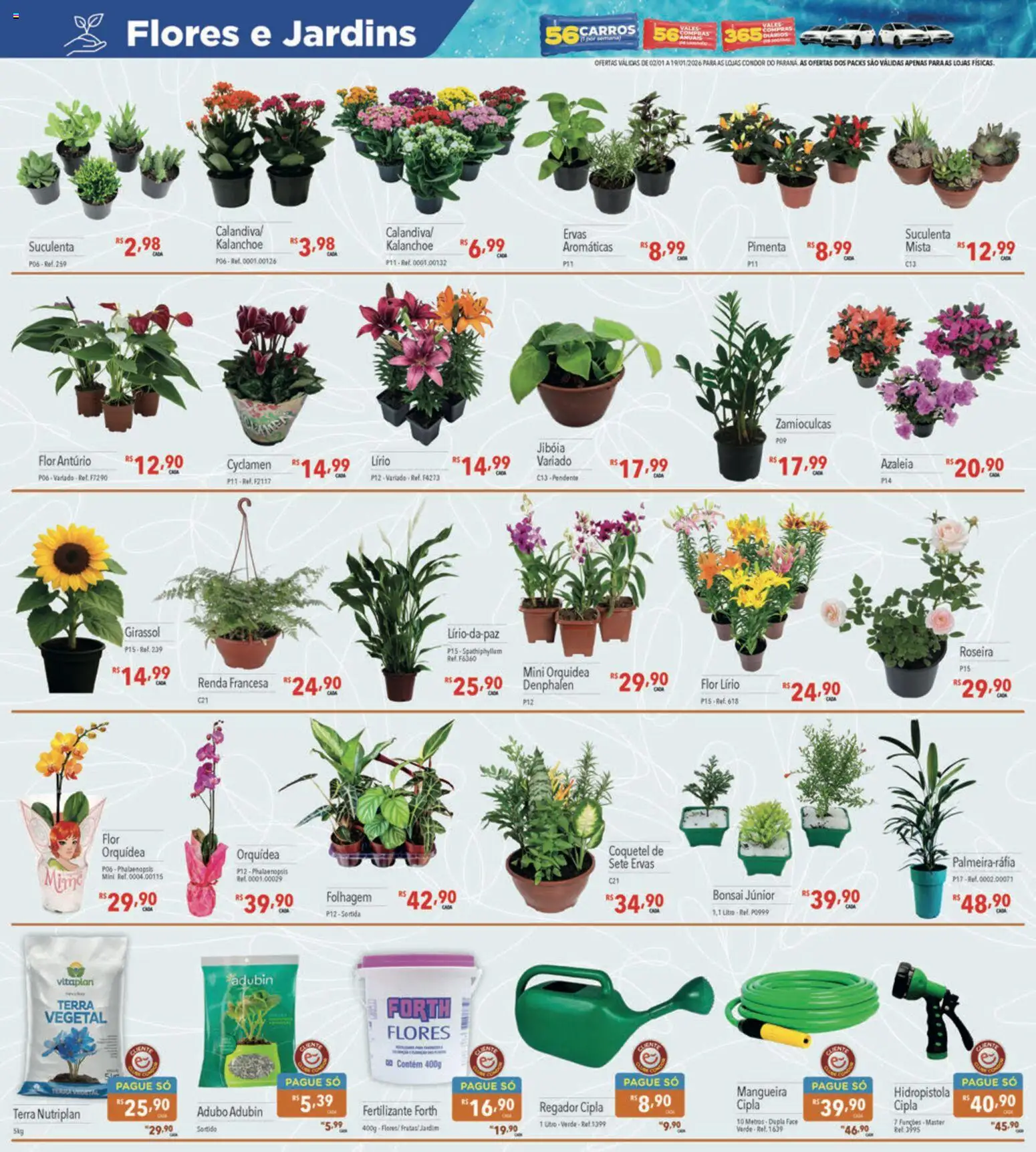 Supermercados Condor Folheto - válido de 02.01.2026 | Página: 28 | Produtos: Pimenta, Mangueira, Flores