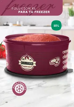 Vista previa Tupperware - Campaña 17/2025 válido desde el 13.10.2025 | Página: 49 | Productos: Freezer