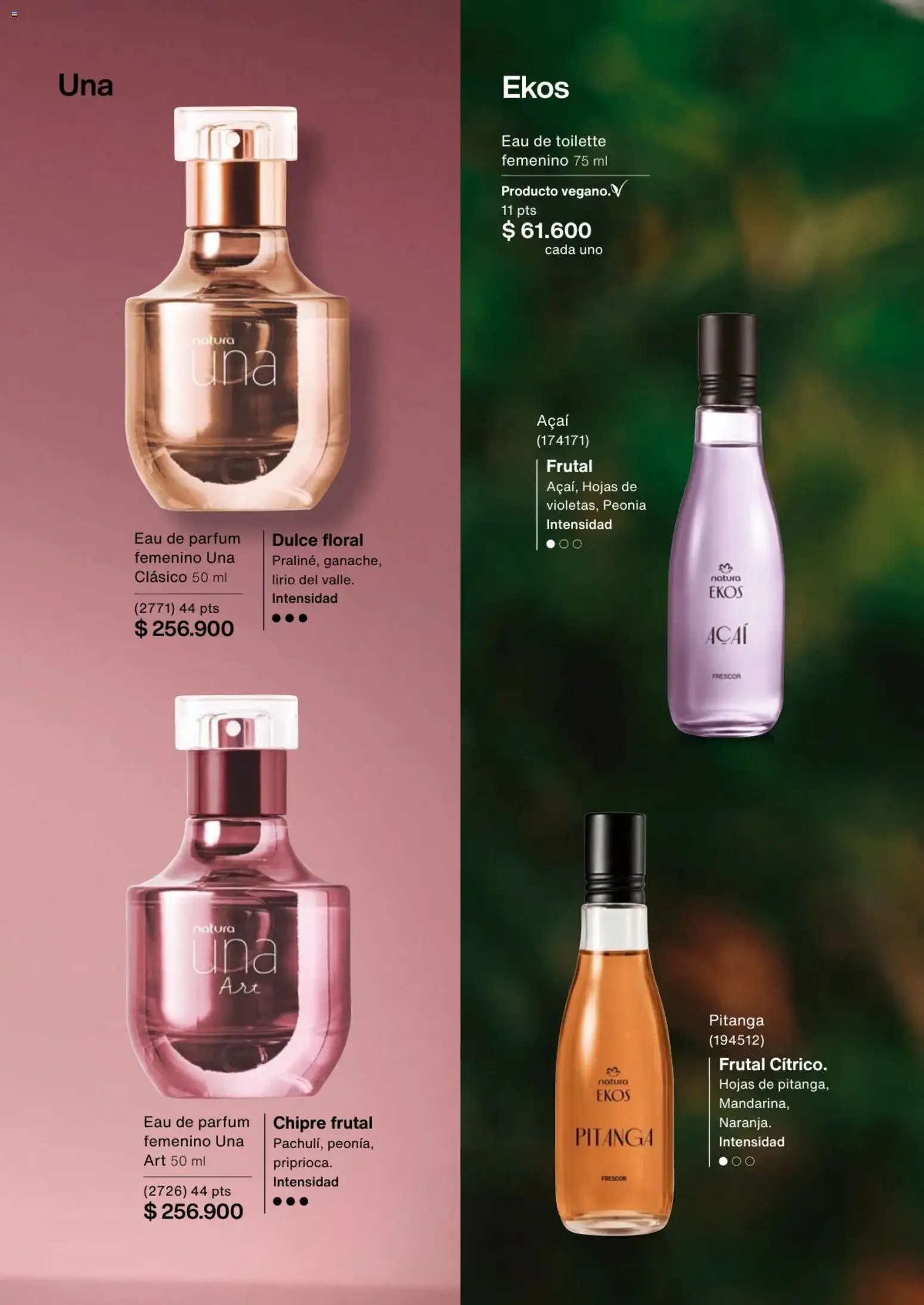 Natura revista - valida desde el 02.01.2026 | Página: 26 | Productos: Eau de toilette