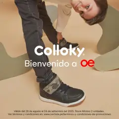 Vista previa de folleto Catálogo Oechsle  de la Oechsle válido desde 28.08.2025