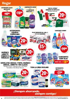 Vista previa de Farmacia Guadalajara catálogo, nuevo folleto de la tienda, válido en México a partir del 15.04.2026 | Página: 2 | Productos: Limpiador, Papel higiénico, Cloro, Vasos