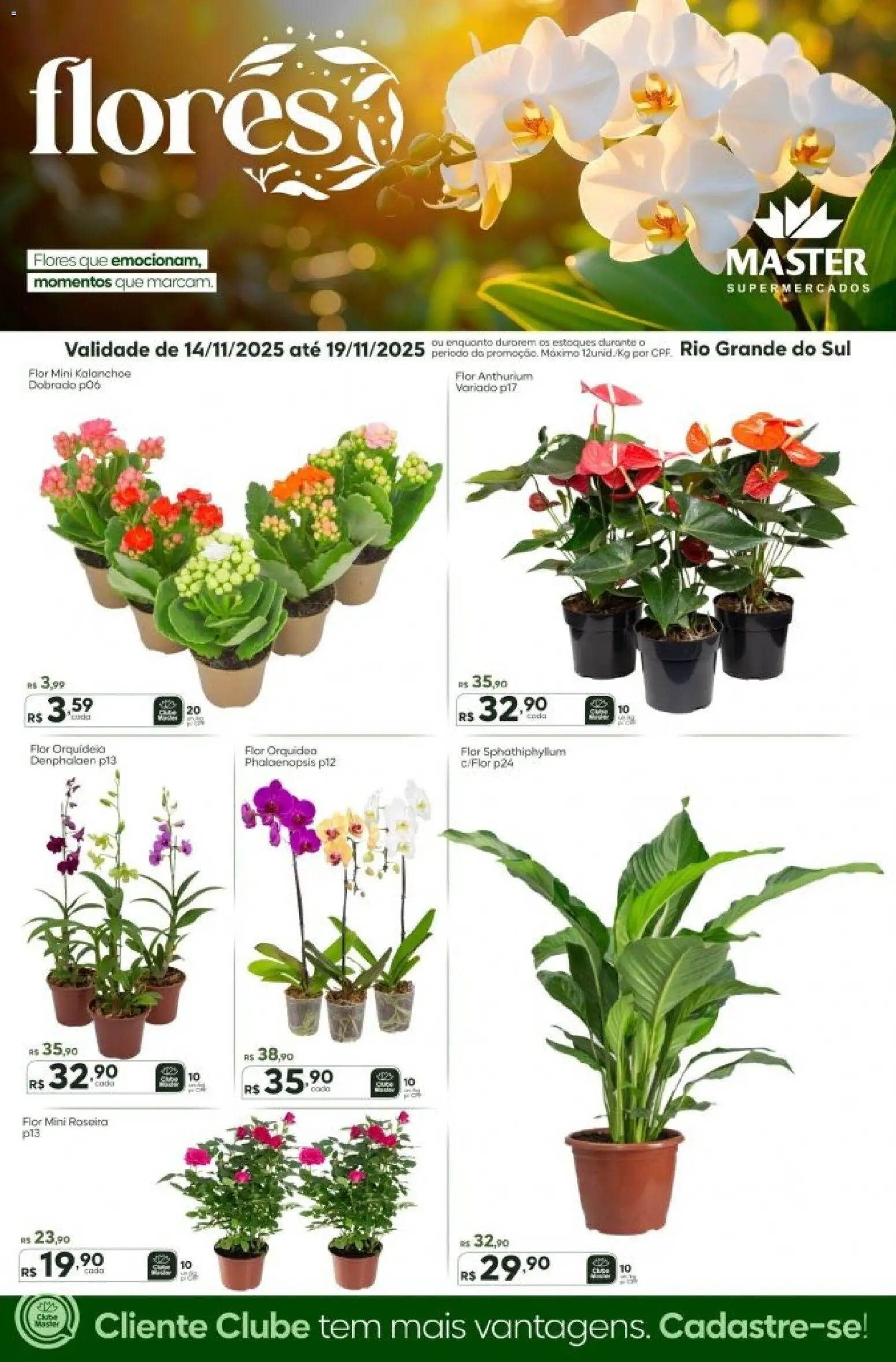 Master Folheto - válido de 14.11.2025 | Página: 1 | Produtos: Denphalaen, Flores