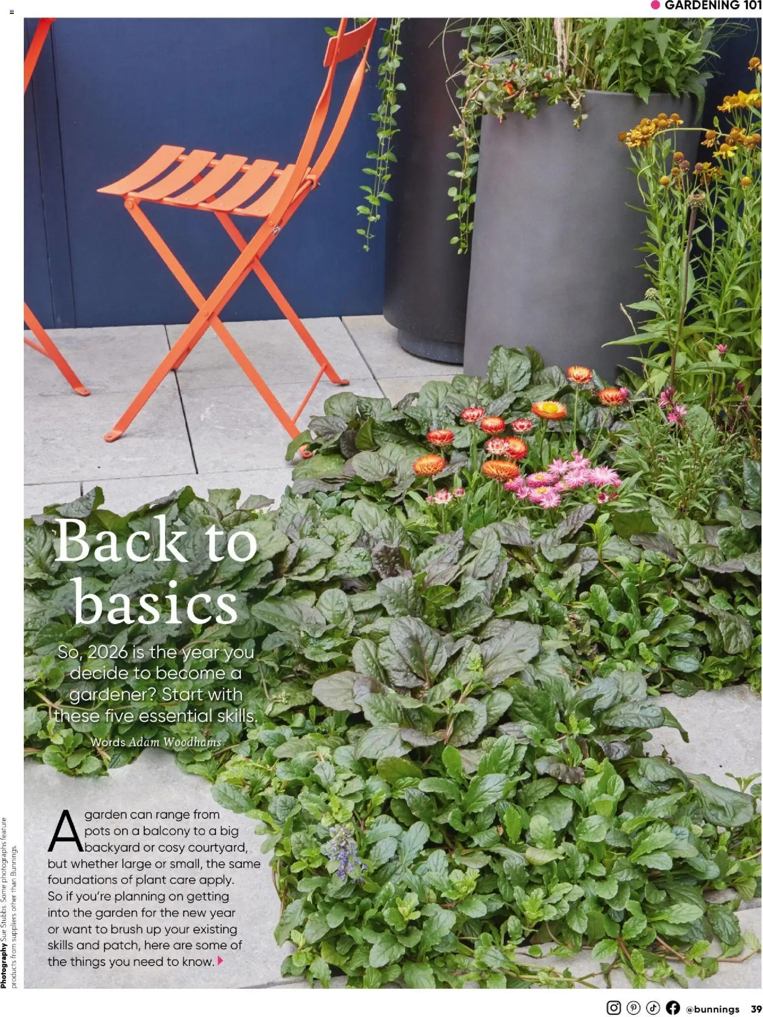 Bunnings Warehouse catalogue - valid from 01.01.2026 | Page: 39 | Products: Brush, Plant