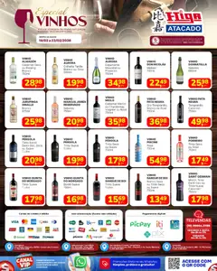 Higa Atacado - Ofertas Especial de Vinhos - Pré-Visualização do folheto da loja Higa Atacado, válido de 19.02.2026