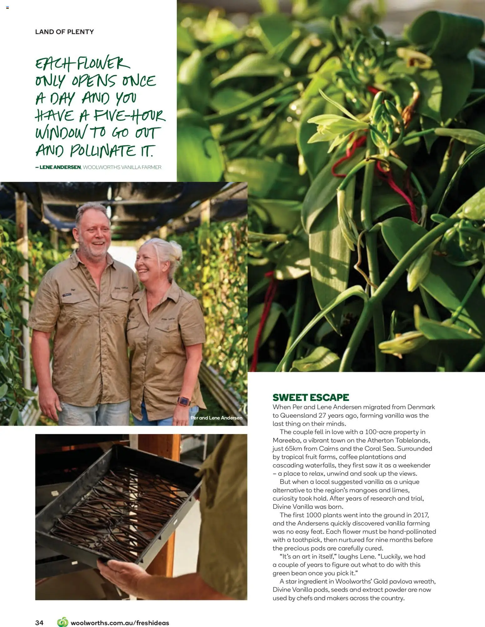 Woolworths catalogue - valid from 01.12.2025 | Page: 34 | Products: Saw, Coffee, Window, Seeds