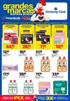 Frangolândia - Ofertas Kimberly-Clark, Sadia, Perdigão & Seara - Pré-Visualização do folheto da loja Frangolândia, válido de 19.01.2026 | Página: 1