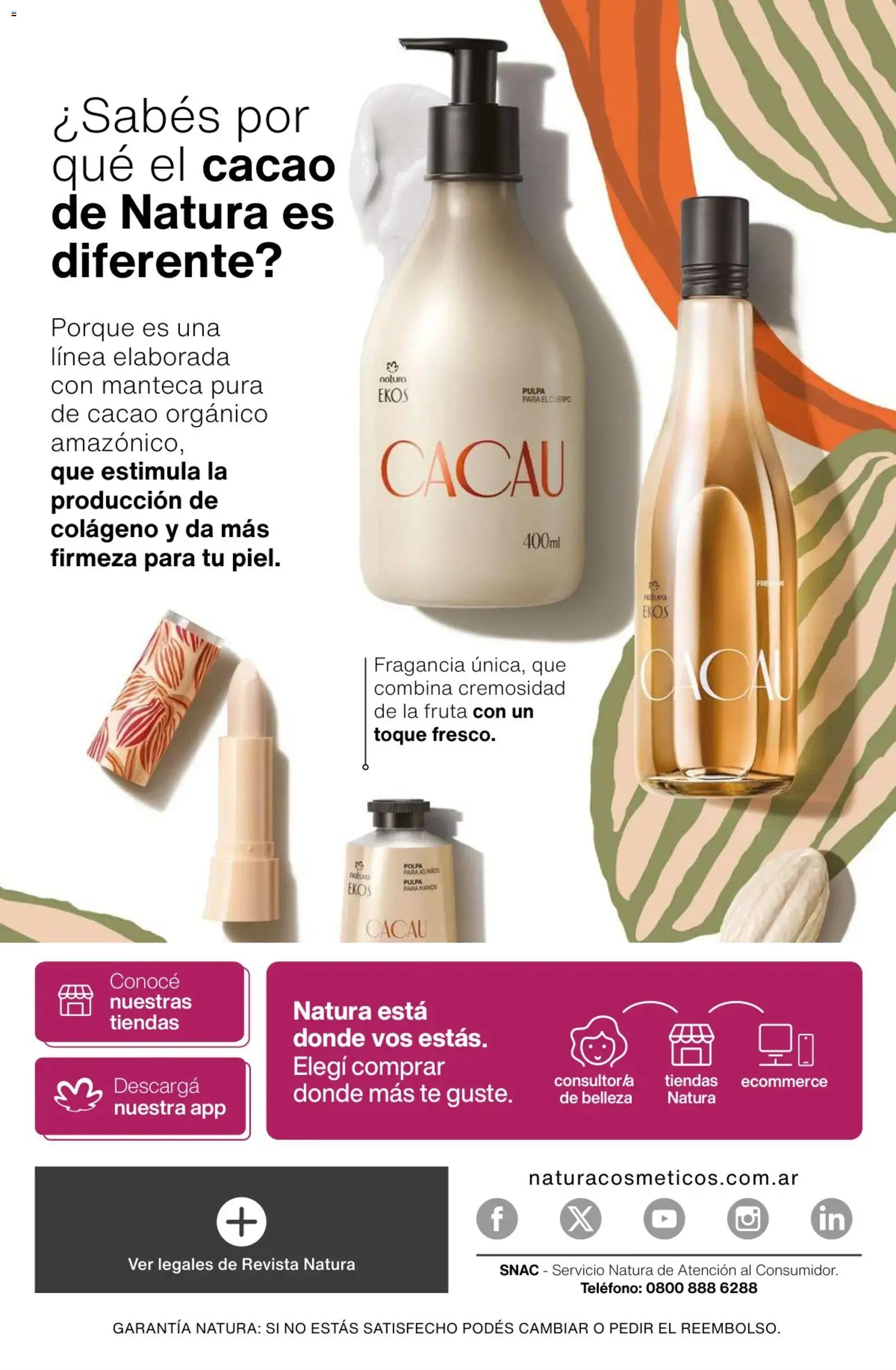 Catálogo Natura Ciclo 3 │ válido desde el 09.02.2026 | Página: 289