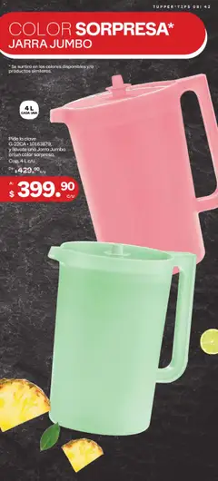 Nuevas ofertas de Tupperware válidas en toda la República Mexicana desde el 14.07.2025. ¡Encuentra las mejores ofertas en Tupperware catálogo! | Página: 42 | Productos: Tupper, Jarra