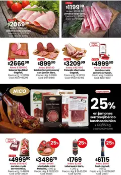 Vista previa Coto - Ofertas Carnes, válido desde el 30.03.2026 | Página: 10