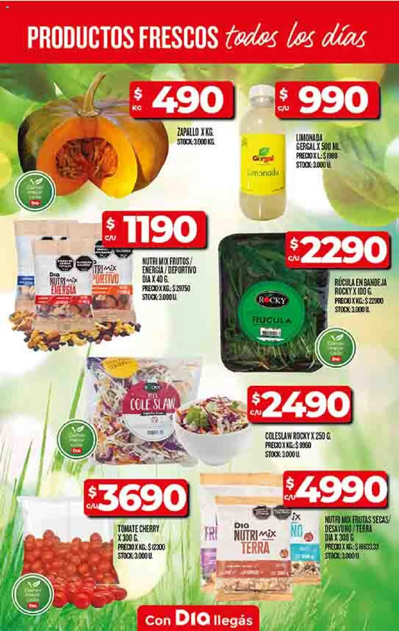 Supermercado DIA Ofertas │ válido desde el 25.06.2025 | Página: 8 | Productos: Zapallo, Bandeja, Rúcula, Tomate