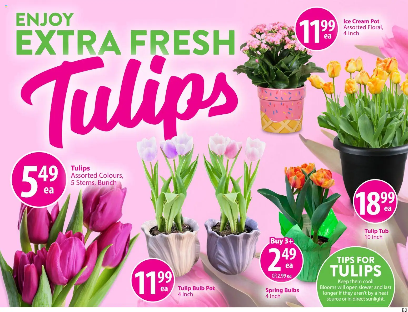 Save on foods flyer valid from 19.03.2026 | Page: 6 | Products: Cream, Ice cream