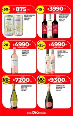 Vista previa Supermercado DIA Ofertas válido desde el 07.01.2026 | Página: 24