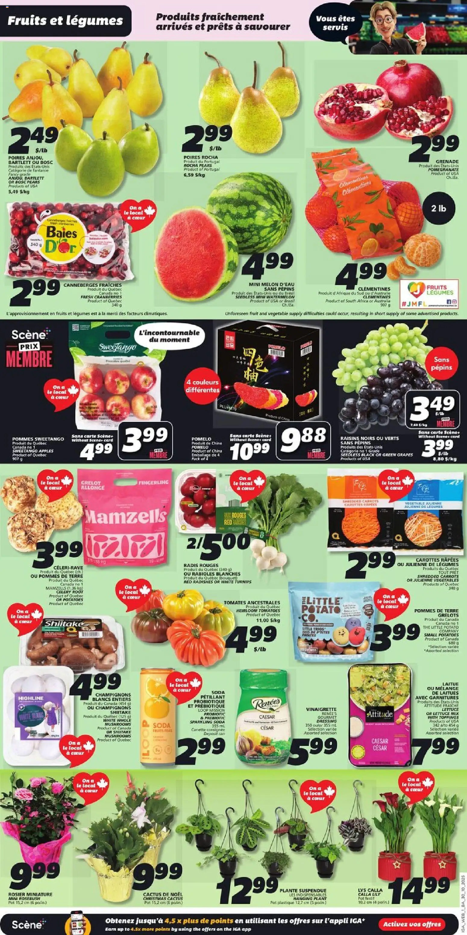 IGA flyer valid from 30.10.2025 | Page: 3 | Products: Potatoes, Apples, Tomatoes