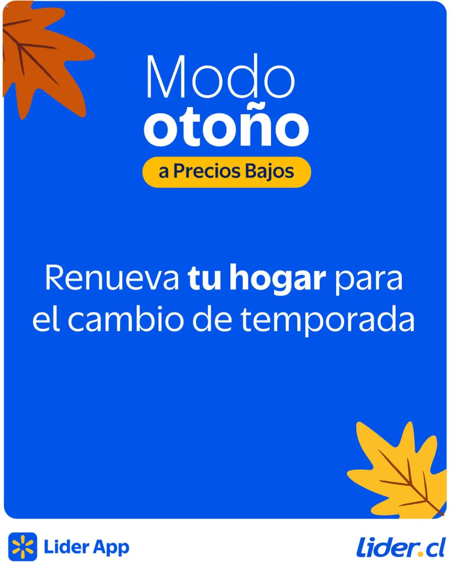 Lider Ofertas  │ válido desde el 20.04.2026 | Página: 1