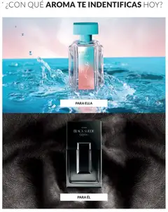 Vista previa de folleto Avon - Ciclo 18 de la Avon válido desde 15.11.2025 | Página: 87 | Productos: Té