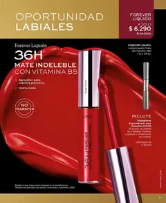 Catálogo L'Bel Campaña 1 válido desde el 01.01.2026 | Página: 15 | Productos: Mate, Labial