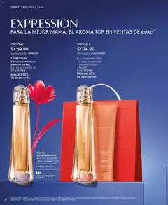 Vista previa de folleto Ésika - Campaña 6 de la Ésika válido desde 14.03.2026 | Página: 22