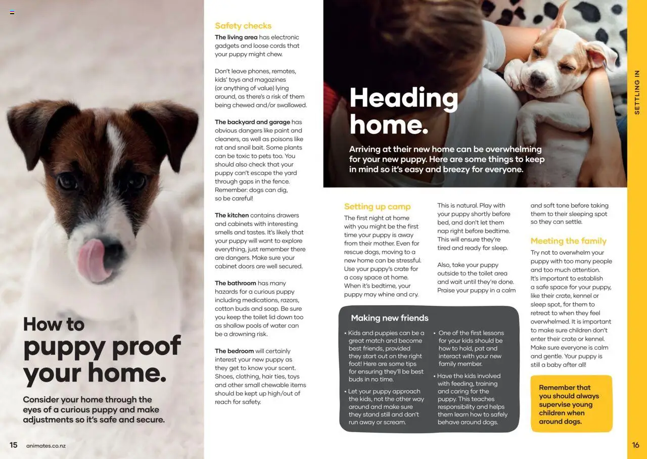 Animates catalogue from 01.01.2024 | Page: 9