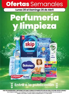 Vista previa Coto - Ofertas Semanales válido desde el 20.04.2026