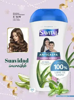 Vista previa de folleto Azzorti - Black Friday de la Azzorti válido desde 03.11.2025 | Página: 51 | Productos: Shampoo, Té