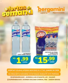 Supermercado Bergamini - Ofertas da semana - Pré-Visualização do folheto da loja Supermercado Bergamini, válido de 14.01.2026 | Página: 9 | Produtos: Cloro, Detergente