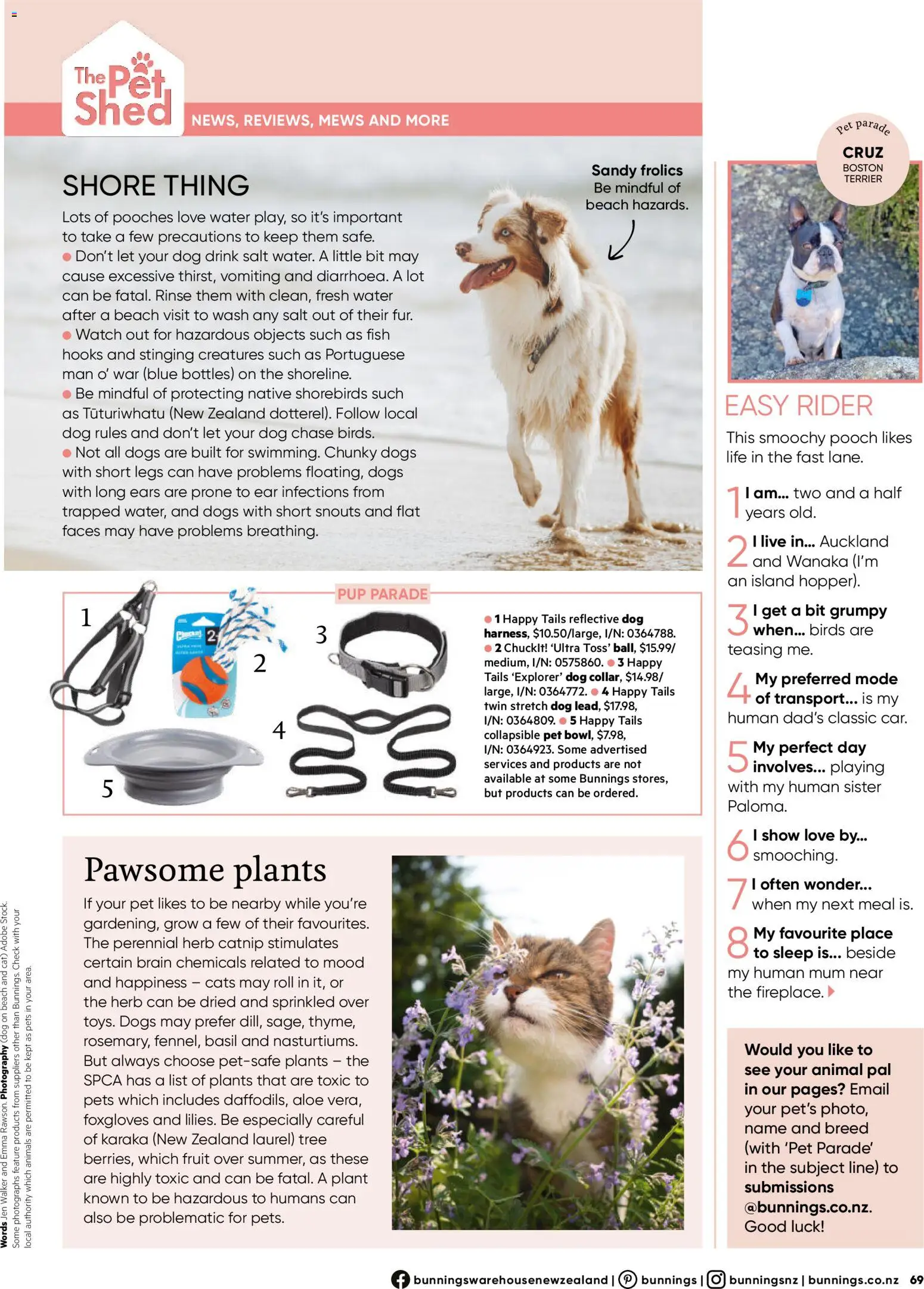 Bunnings Warehouse catalogue from 01.12.2025 | Page: 69